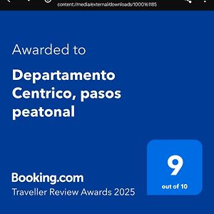 Departamento Centrico, Pasos Peatonal